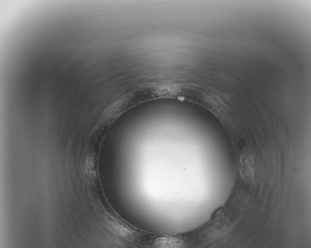 X0000062860714200601171537