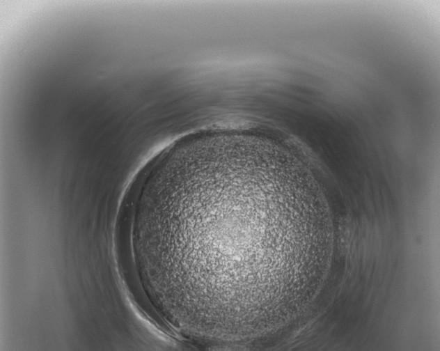 X0000062860726200601171536