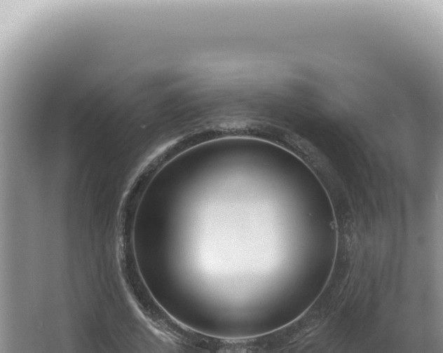 X0000062860728200601171536