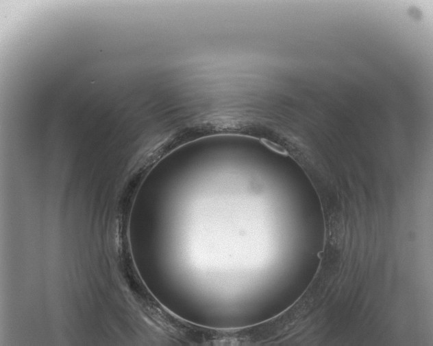 X0000062860740200601171536