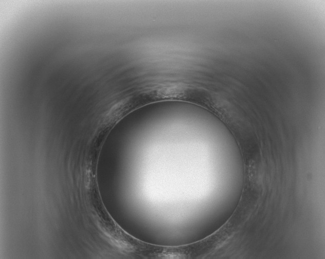 X0000062860741200601171536