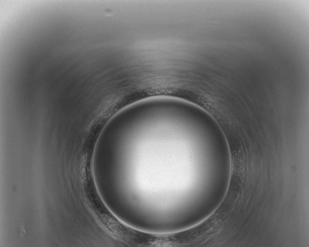 X0000062860742200601171536