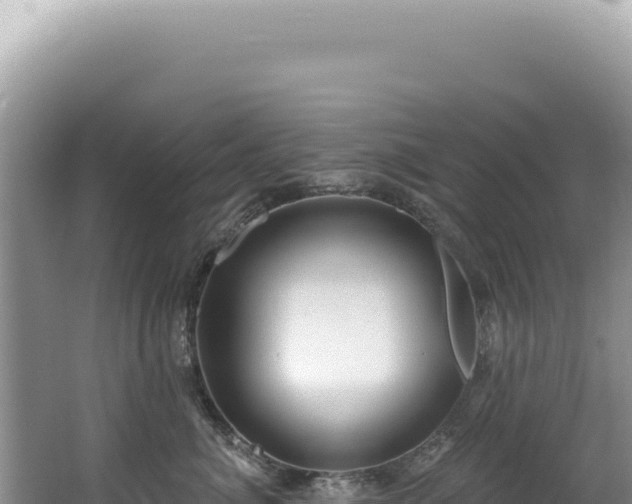 X0000062860764200601171537