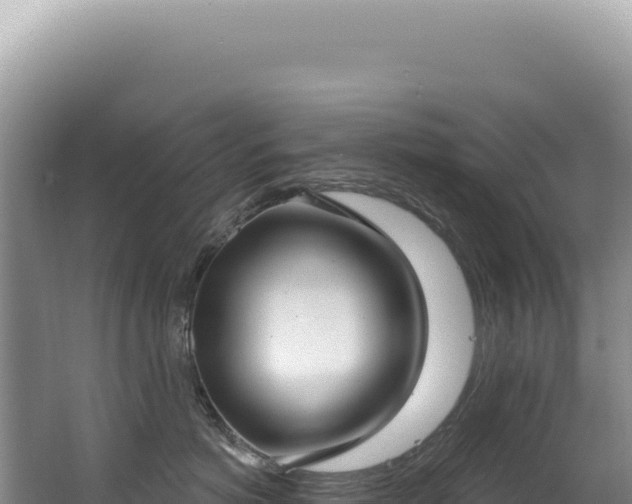 X0000062860766200601171537