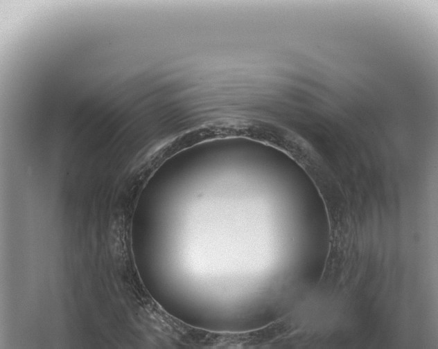 X0000062860773200601171536