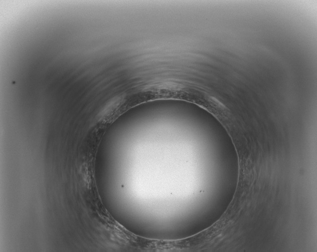 X0000062860774200601171536