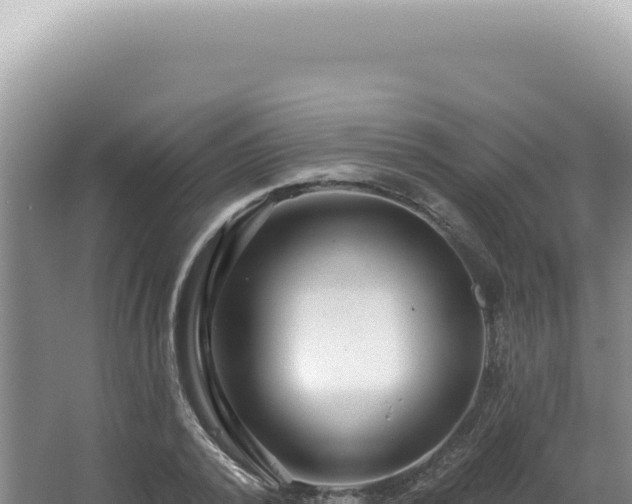 X0000062860784200601171536
