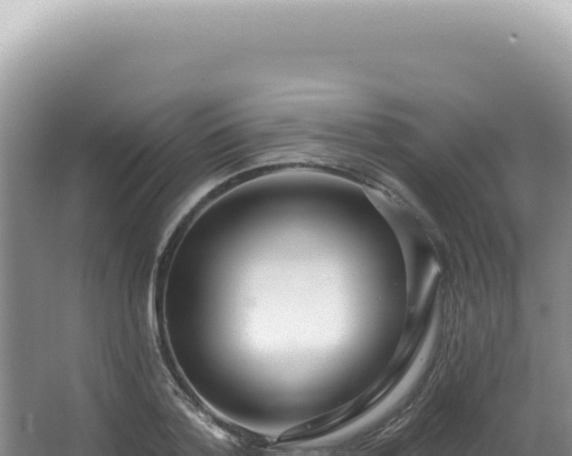X0000062860788200601171536