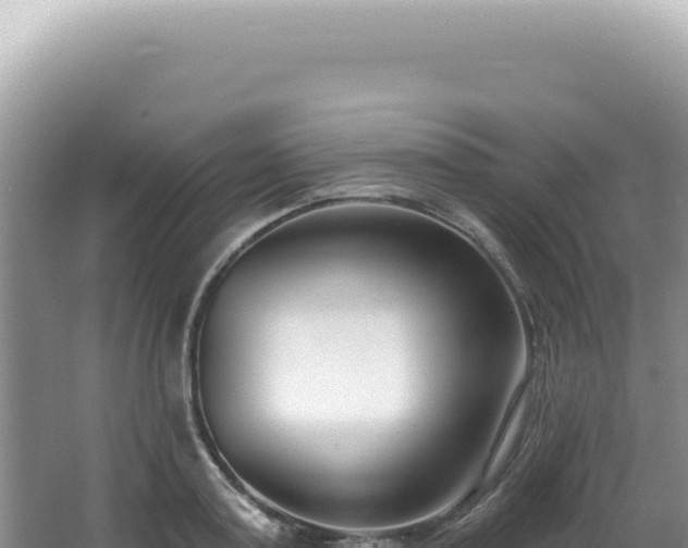 X0000062860795200601171536