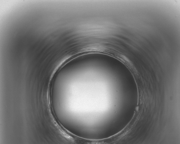 X0000062860796200601171536