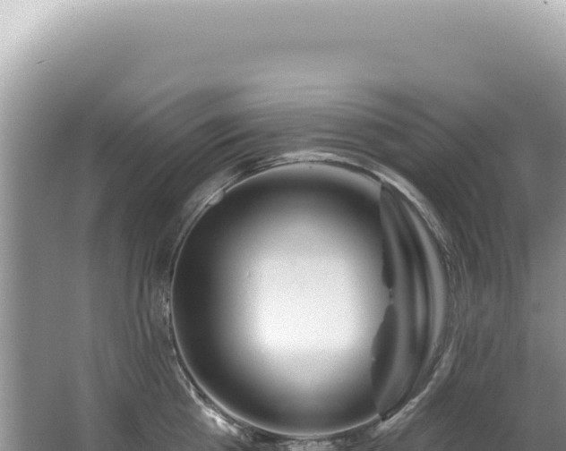 X0000062860809200601171535