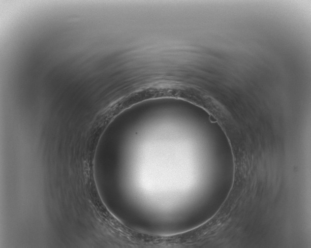 X0000062860821200601171534