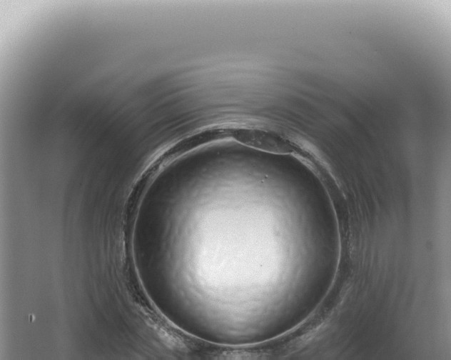 X0000062860829200601171535