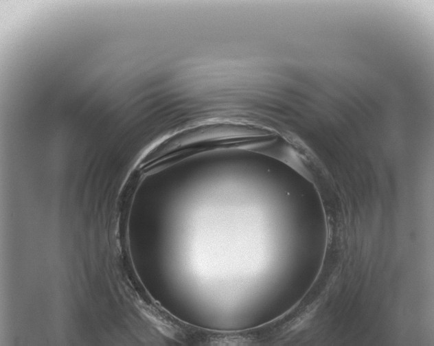 X0000062860830200601171535