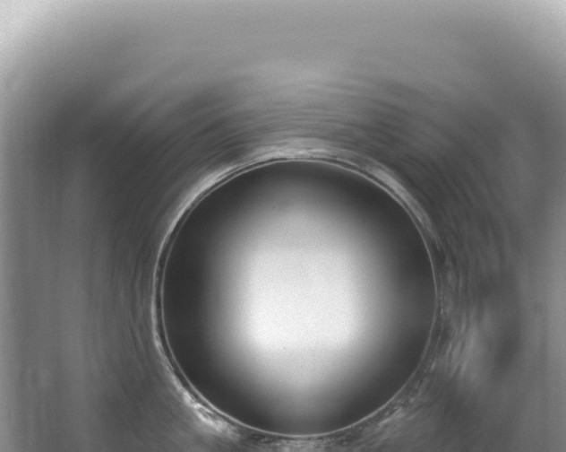 X0000062860861200601171535