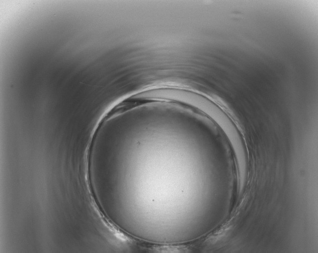 X0000062860862200601171535