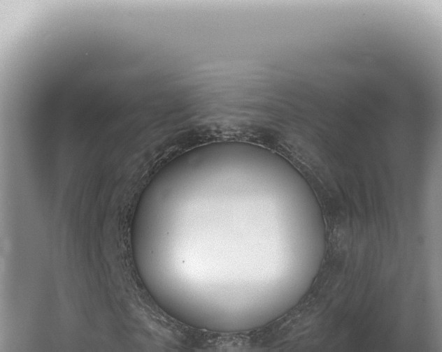 X0000062860865200601171534