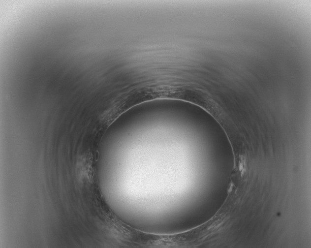 X0000062860867200601171534