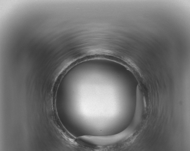 X0000062860877200601171534