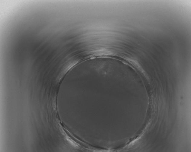 X0000062860889200601171534