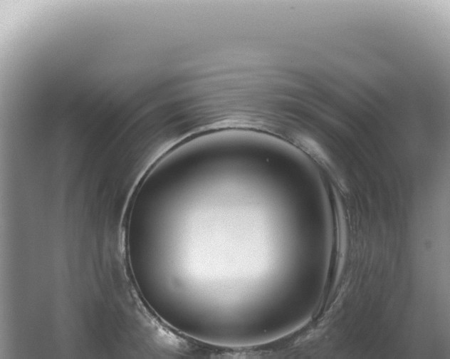X0000062860900200601171534