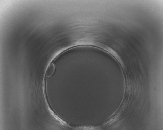 X0000062860958200601171534