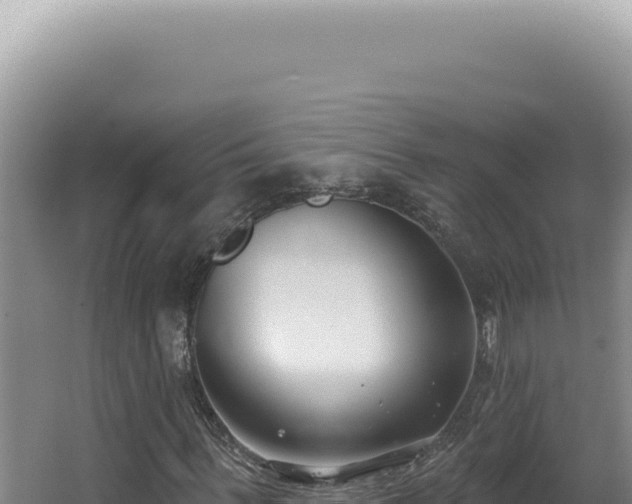 X0000062860963200601171533