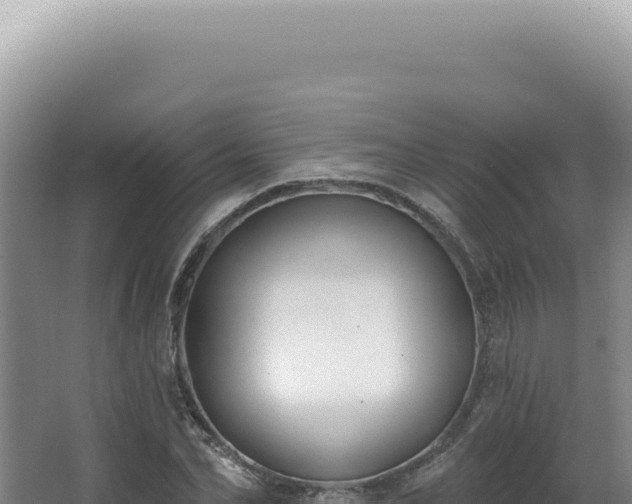 X0000062860974200601171533
