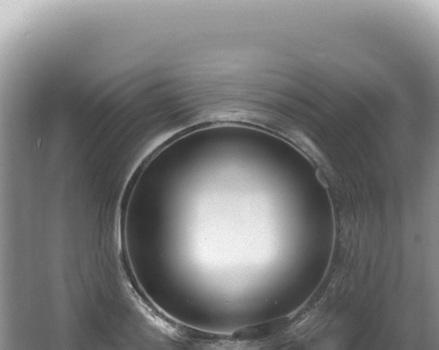 X0000062861036200601171532