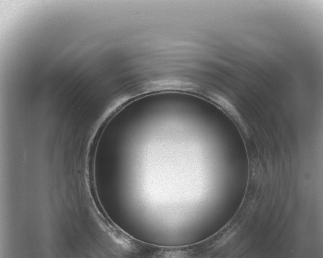 X0000062861043200601171532