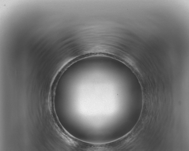 X0000062861076200601171531