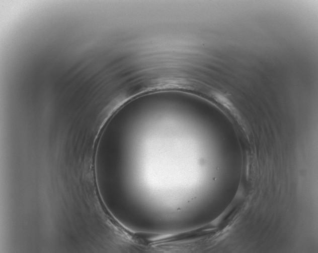 X0000062861089200601171531