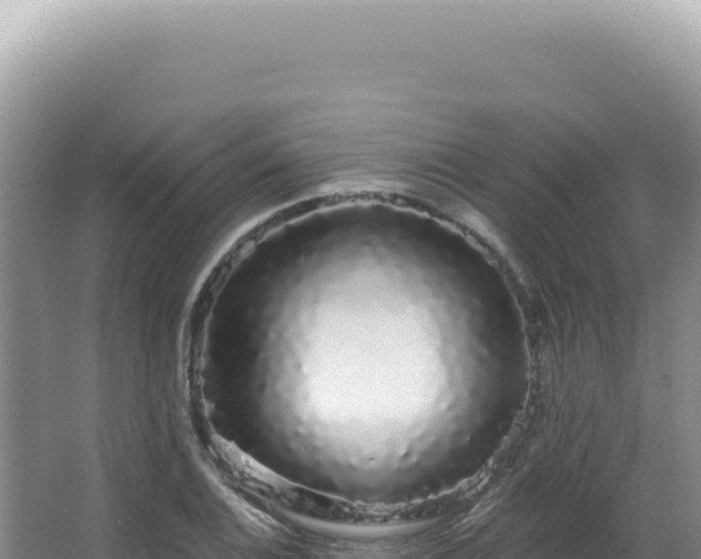 X0000062861124200601171530