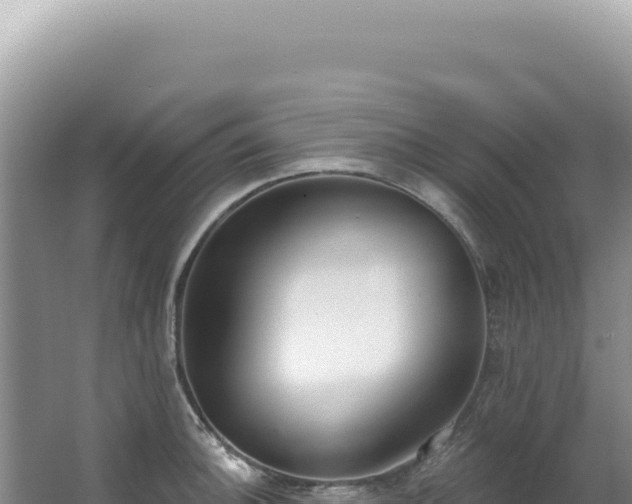 X0000062861140200601171530
