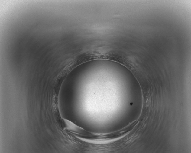 X0000062861156200601171529