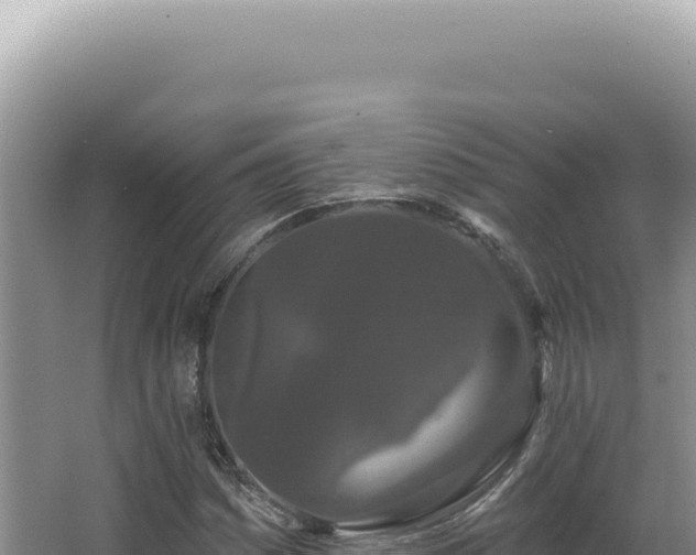 X0000062861161200601171529