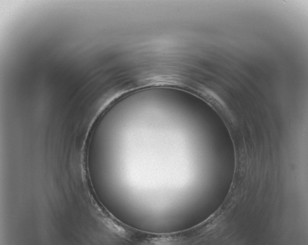 X0000062861182200601171529