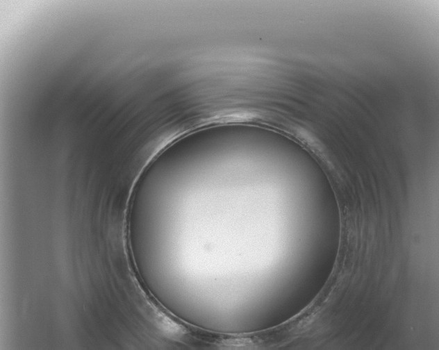 X0000062861186200601171529