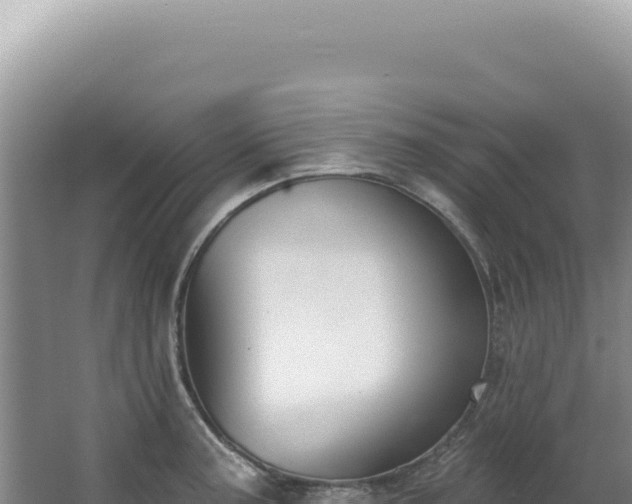 X0000062861187200601171529