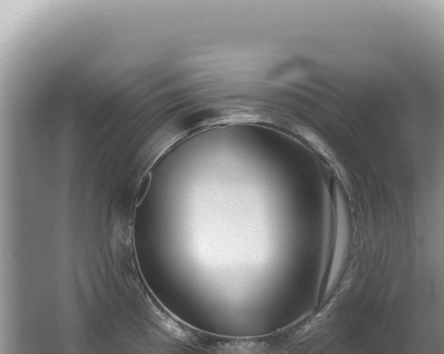X0000062861193200601171529