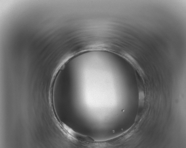 X0000062861196200601171529