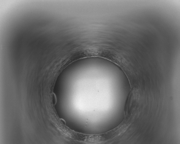 X0000062861201200601171528