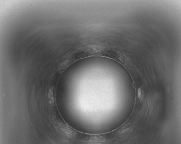 X0000062861203200601171528