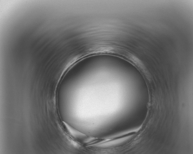 X0000062861234200601171528