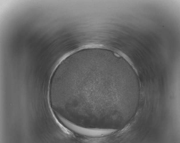 X0000062861245200601171529