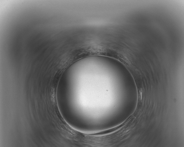 X0000062861251200601171528