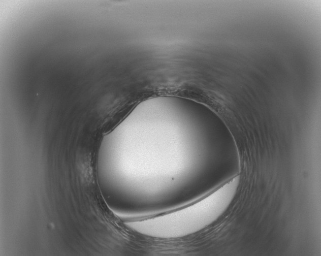 X0000062861252200601171528