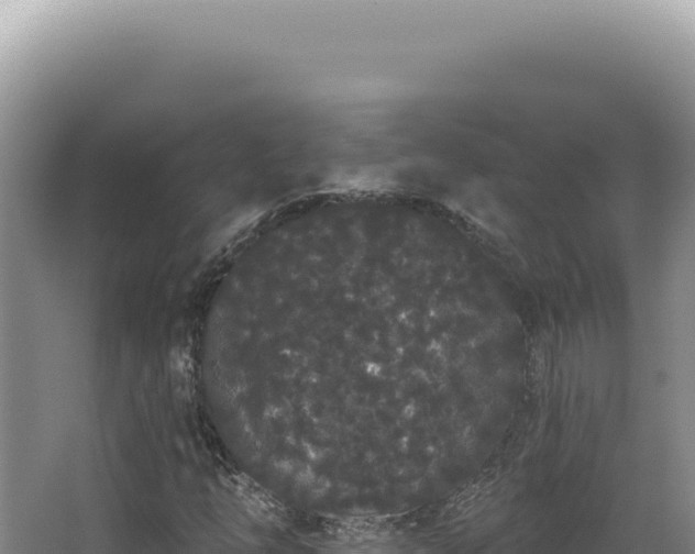 X0000062861254200601171528