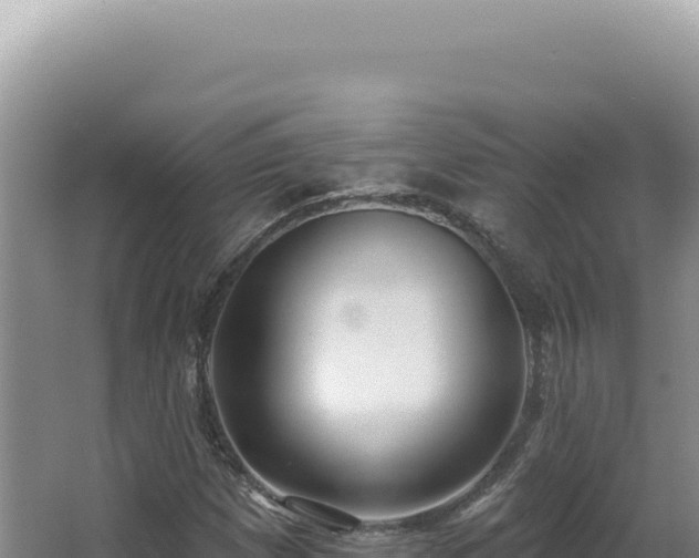 X0000062861257200601171528