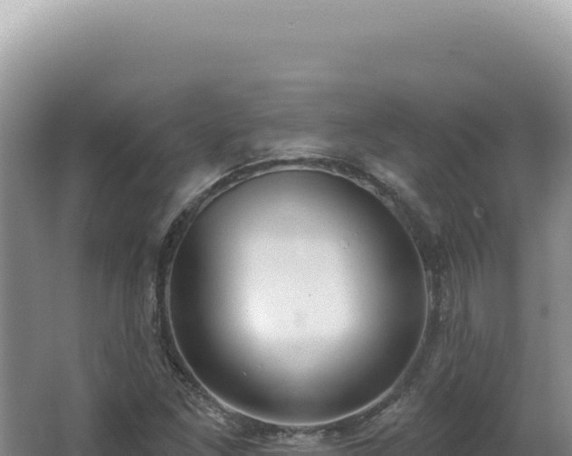 X0000062861261200601171528